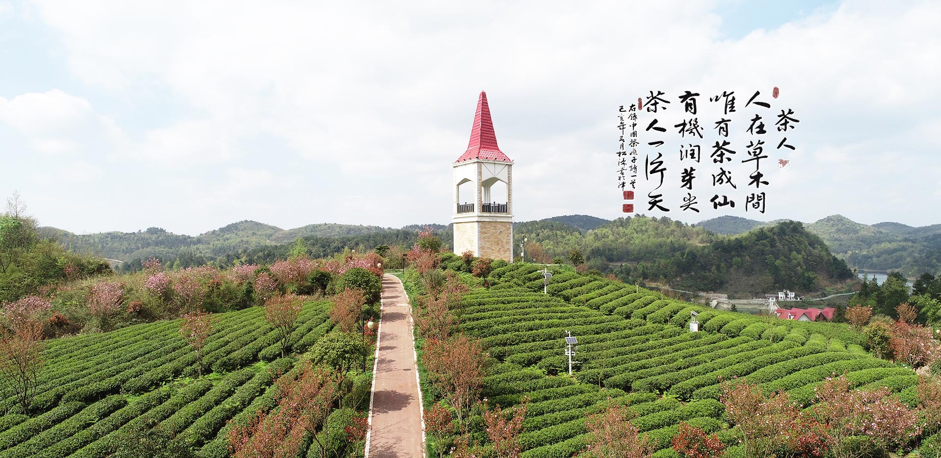 有机种植基地