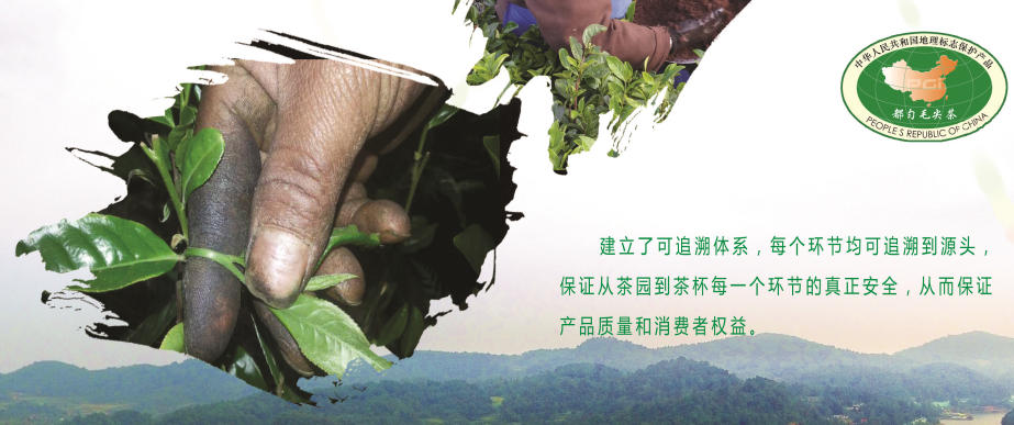 病虫害防治
